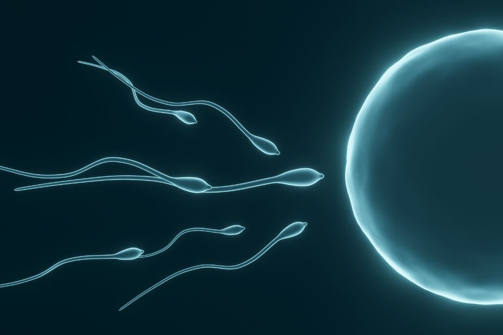 Low Sperm Motility: Causes, Testing, and Treatment Options