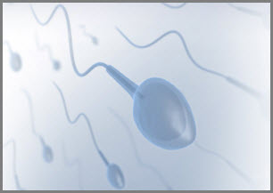 Overcoming No Sperm Count: Azoospermia