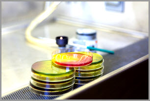 Sperm Count Test for IUI Success