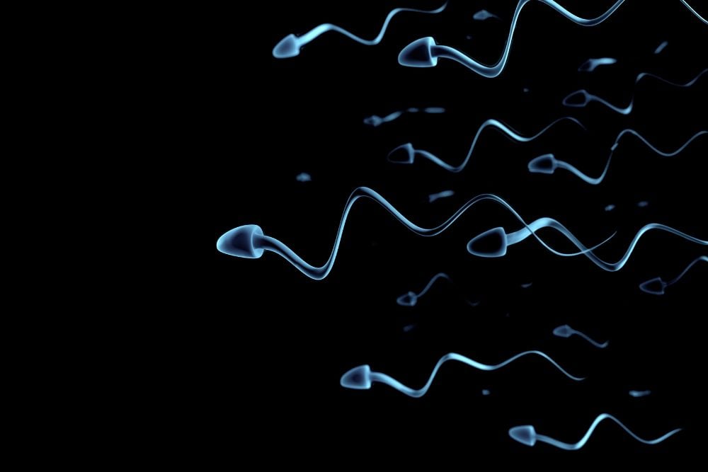 6 Signs of Male Infertility - Northwoods Urology