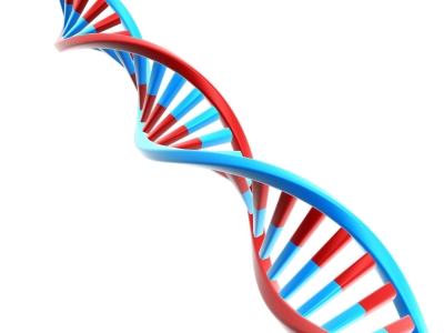 What Is Genetic Testing & What Is It Used For?